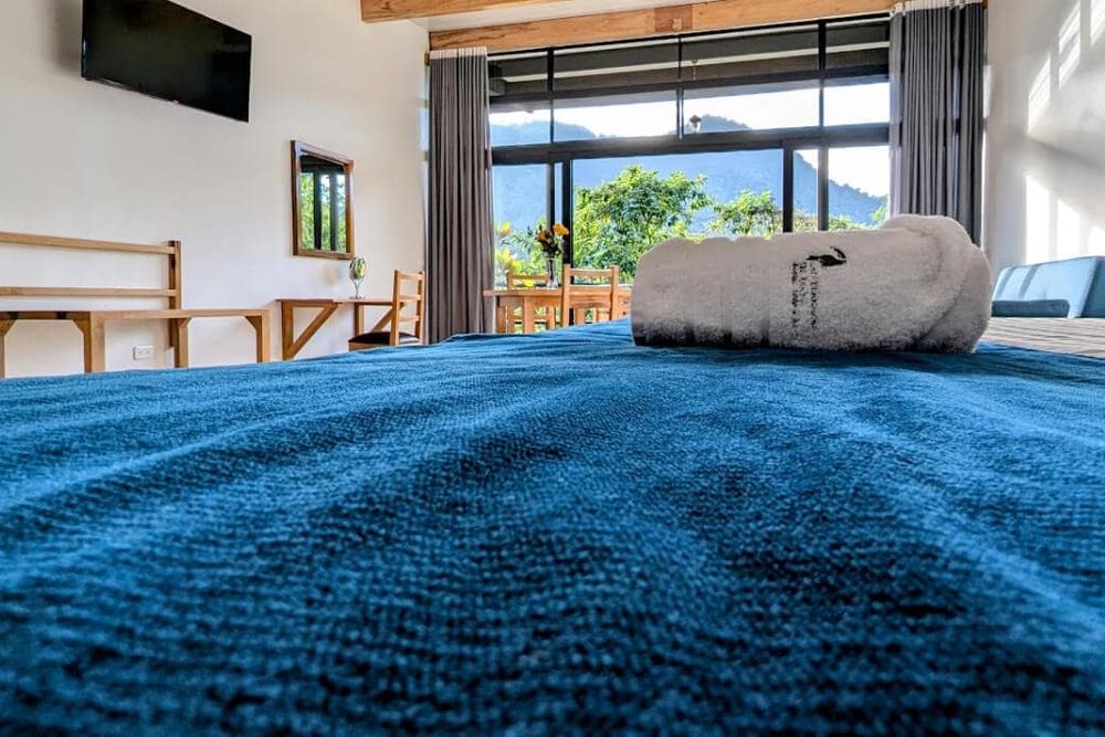 Suite interior at Las Terrazas de Dana with a wide window onto the forest
